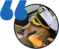 5-Star review from Jodi and her dog on their Big Papa's Pontoon Boat Rentals on Castle Rock Lake, WI